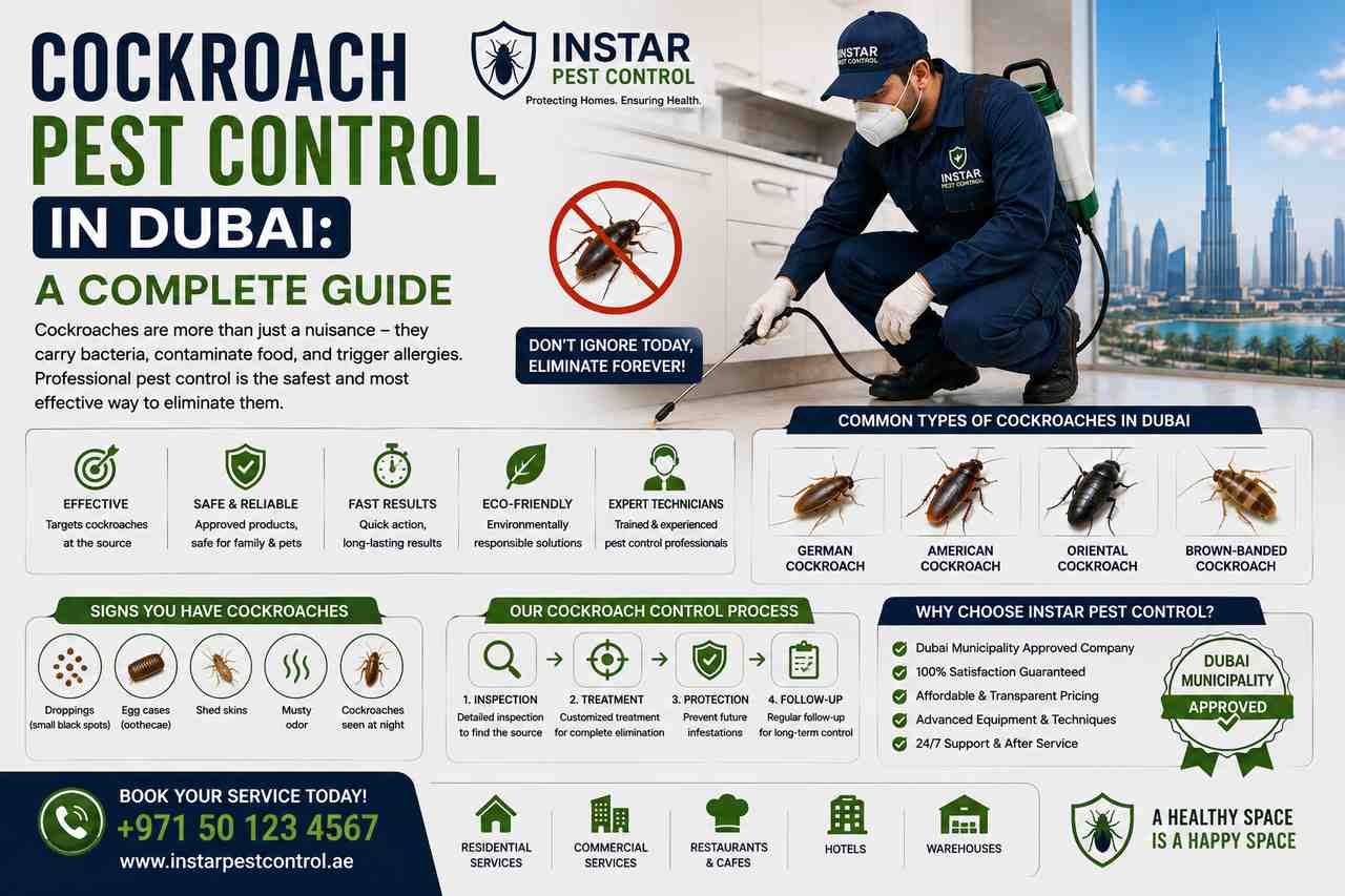 Cockroach Pest Control in Dubai: A Complete Guide