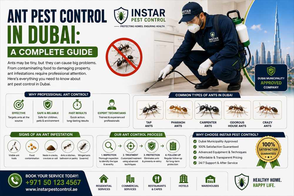 Ant Pest Control in Dubai: A Complete Guide